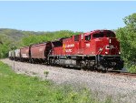 CP 7029